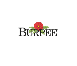 burpee coupon code