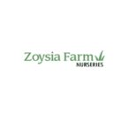 zoysia farms